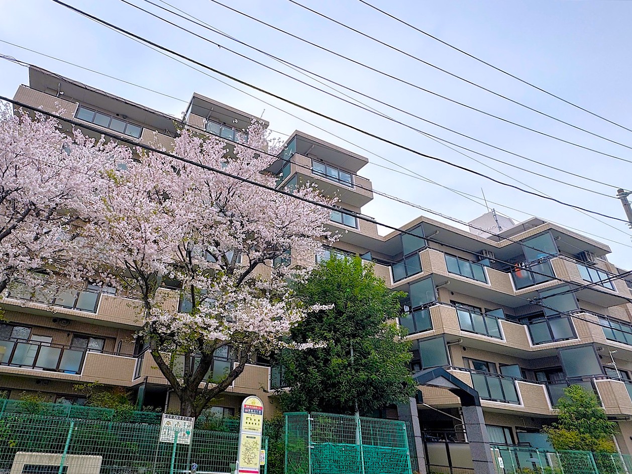 クリオ朝霞弐番館